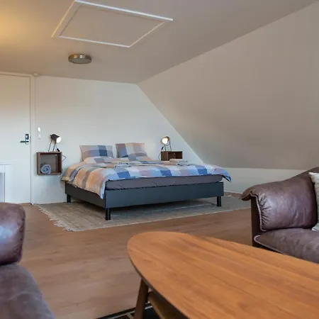Cosy One *